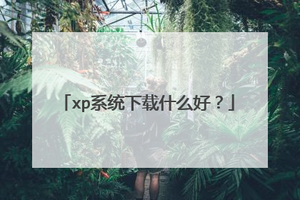 xp系统下载什么好?