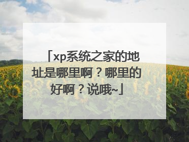 xp系统之家的地址是哪里啊?哪里的好啊?说哦~