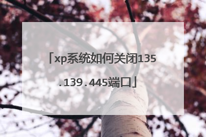 xp系统如何关闭135.139.445端口
