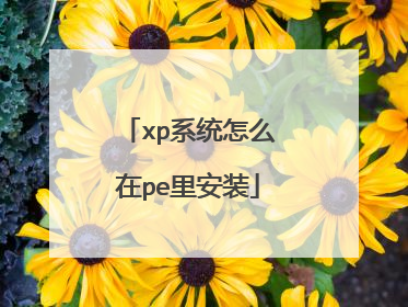 xp系统怎么在pe里安装