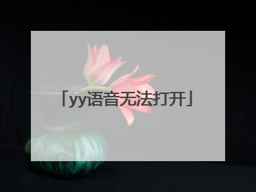 yy语音无法打开
