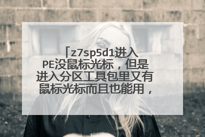 z7sp5d1进入PE没鼠标光标,但是进入分区工具包里又有鼠标光标而且也能用,键盘也行。。。。