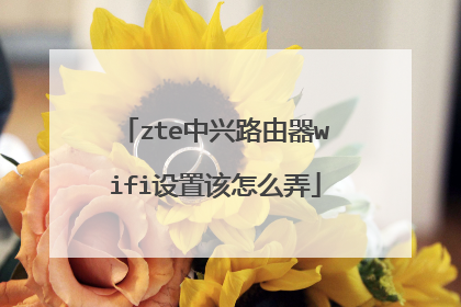 zte中兴路由器wifi设置该怎么弄